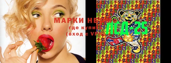 ГАЛЛЮЦИНОГЕННЫЕ ГРИБЫ Алзамай