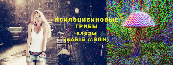 ГАЛЛЮЦИНОГЕННЫЕ ГРИБЫ Алзамай