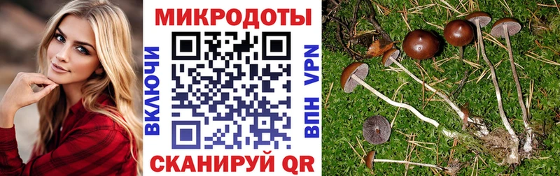 Псилоцибиновые грибы Magic Shrooms MEGA ONION Раменское