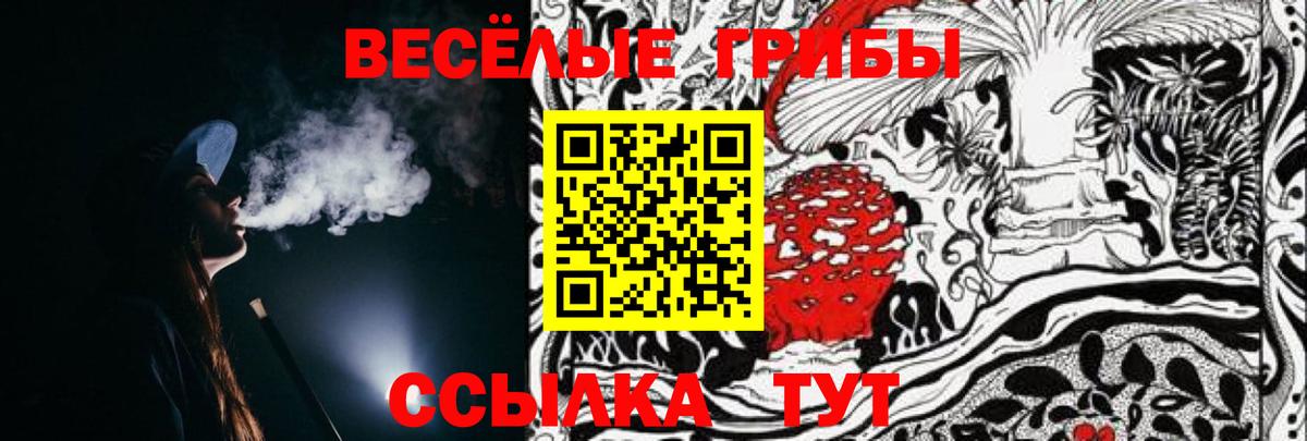 Псилоцибиновые грибы ЛСД Раменское